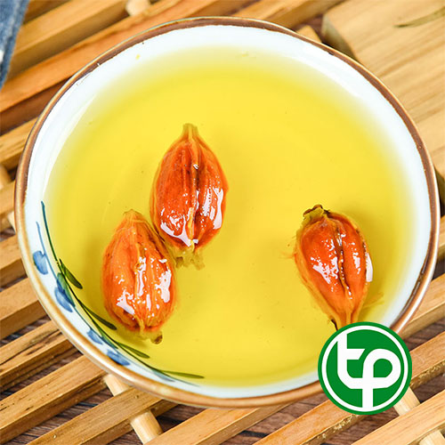 Mua Bán Dành Dành Tại HCM Mua Bán Dành Dành Tại HCM