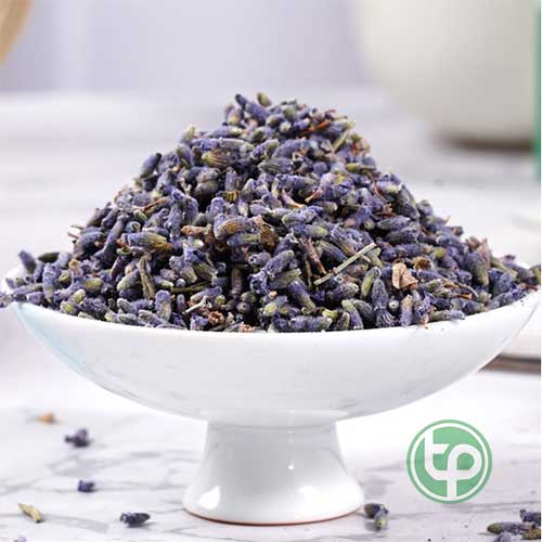 Địa Chỉ Mua Bán Hoa Oải Hương Tại HCM Địa Chỉ Mua Bán Hoa Oải Hương Tại HCM