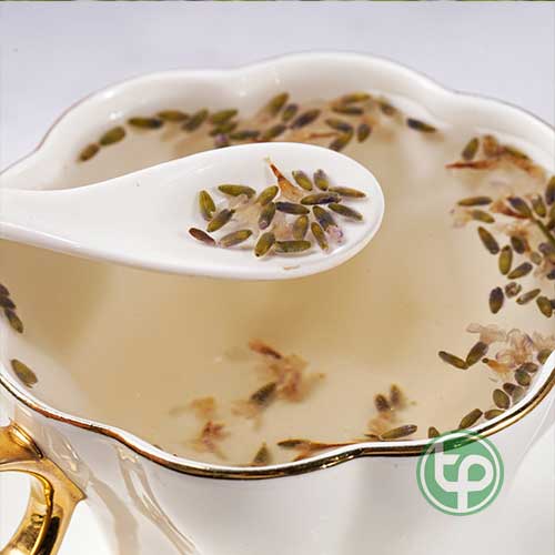 Địa chỉ kinh doanh Hoa Oải Hương tại hcm Địa chỉ kinh doanh Hoa Oải Hương tại hcm