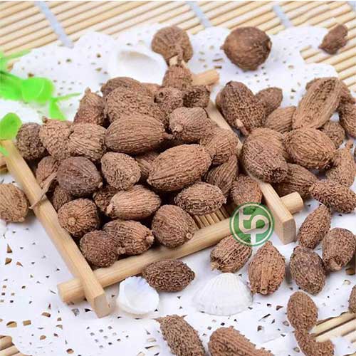 Địa Chỉ Mua Bán Dương Xuân Sa Tại HCM Ở Đâu? Địa Chỉ Mua Bán Dương Xuân Sa Tại HCM Ở Đâu?