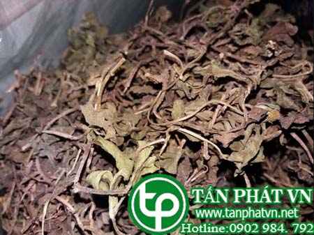 Địa Chỉ Mua Bán Sài Đất Tại TPHCM Địa Chỉ Mua Bán Sài Đất Tại TPHCM