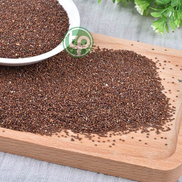 Cung cấp Hạt Đình Lịch tại tphcm Cung cấp Hạt Đình Lịch tại tphcm