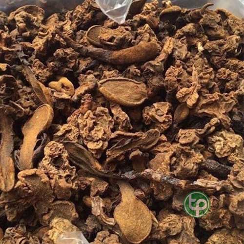 Bán Nấm Ngọc Cẩu tại hcm Bán Nấm Ngọc Cẩu tại hcm