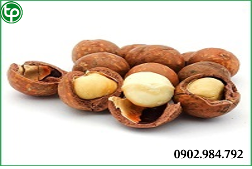 phân phối sỉ và lẻ hạt mắc ca tại tphcm