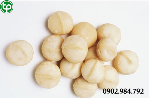 cung cấp hạt mắc ca tại tphcm