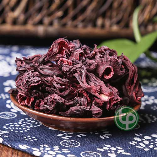 Địa Chỉ Mua Bán Hoa Atiso Đỏ |Bụt Giấm Tại HCM
