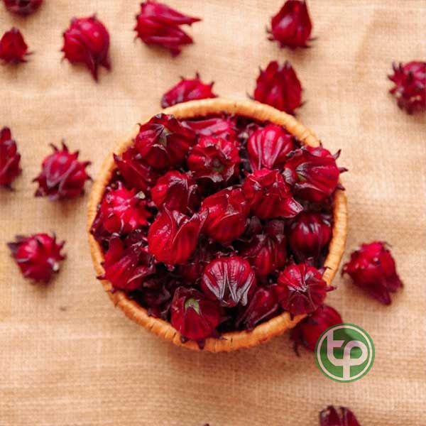 Địa Chỉ Mua Bán Hoa Atiso Đỏ |Bụt Giấm Tại HCM Ở Đâu?