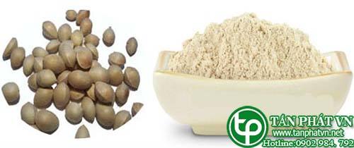 Địa Chỉ Mua Bán Bột Bạch Quả Tại TPHCM