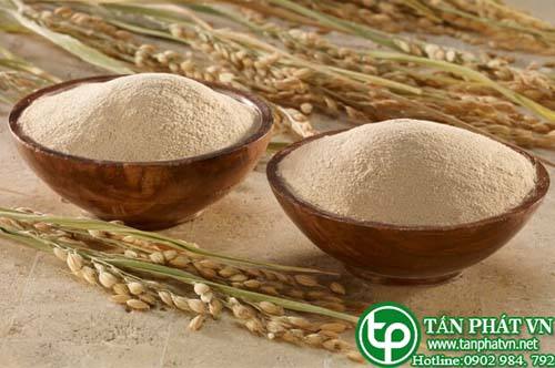 Bán Sỉ Bột Cám Gạo Tại HCM Ở Đâu?