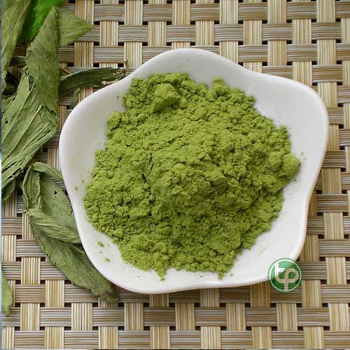 Địa Chỉ Mua Bán Bột Cỏ Ngọt Tại TPHCM Địa Chỉ Mua Bán Bột Cỏ Ngọt Tại TPHCM