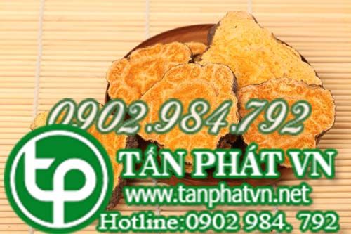 Bán Sỉ Bột Hà Thủ Ô Tại HCM Ở Đâu?