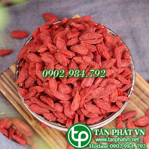 Địa Chỉ Mua Bán Câu Kỳ Tử, Khởi Tử, Tại TPHCM