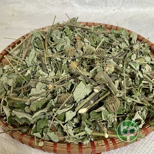 Địa Chỉ Mua Bán Cối Xay Tại TPHCM