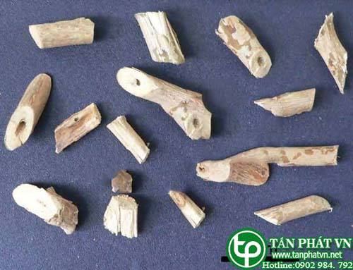 Ban Si Cay Mo Hoa Trang Tai HCM O Dau?