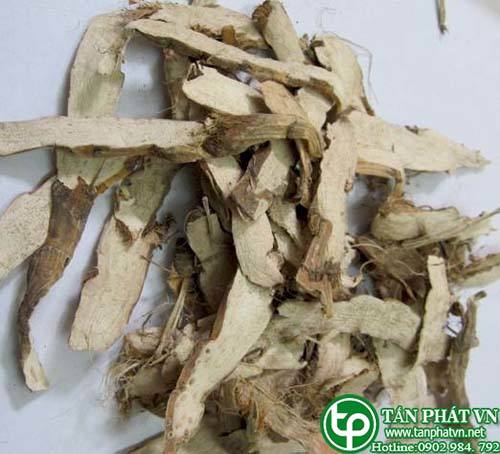Ban Si Cay Thuy Xuong Bo Tai HCM O Dau?