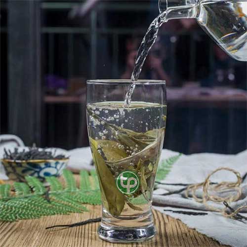Cung cấp Chè Đắng Cao Bằng tại hcm