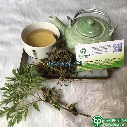 bán Cây Cứt Lợn tại tphcm