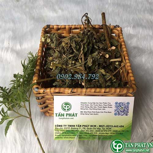 Địa Chỉ Mua Bán Cứt Lợn Tại TPHCM
