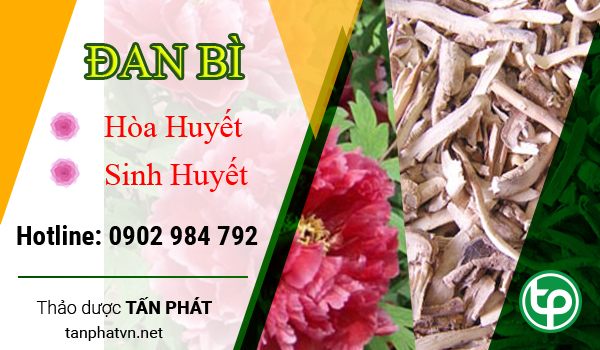 Địa Chỉ Mua Bán Đan Bì Tại HCM Ở Đâu?