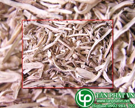 Bán Sỉ Đan Bì TạiTY TPHCM Ở Đâu?