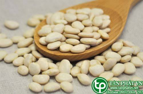 Ban Si Dau Van Trang Tai HCM O Dau?