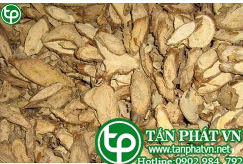 Ban Si Day Dau Xuong Tai HCM O Dau?
