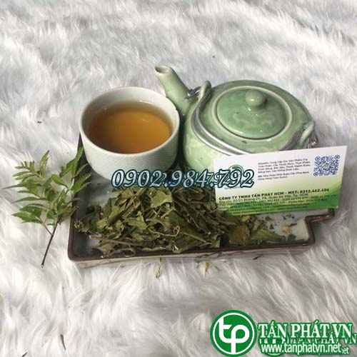 Địa Chỉ Bán Sỉ Dây Thìa Canh Tại HCM