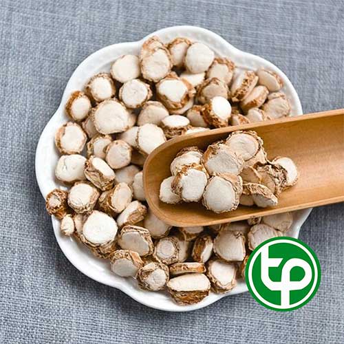Địa Chỉ Mua Bán Địa Liền Tại TPHCM