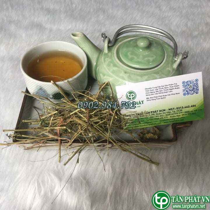 Địa chỉ phân phối Diệp Hạ Châu Đắng tại TP.HCM