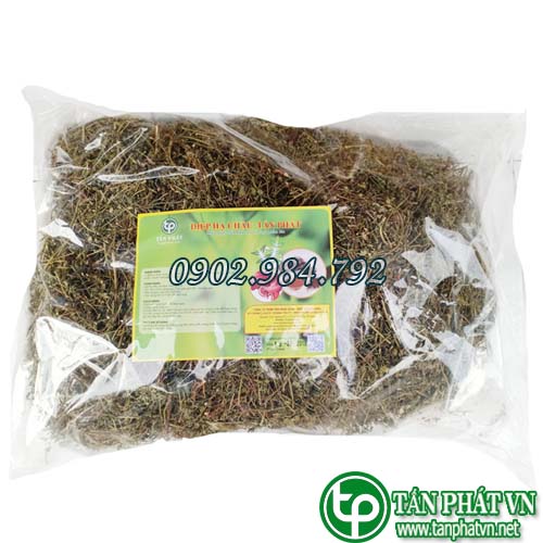 Ban Si Diep Ha Chau Dang Tai HCM O Dau?