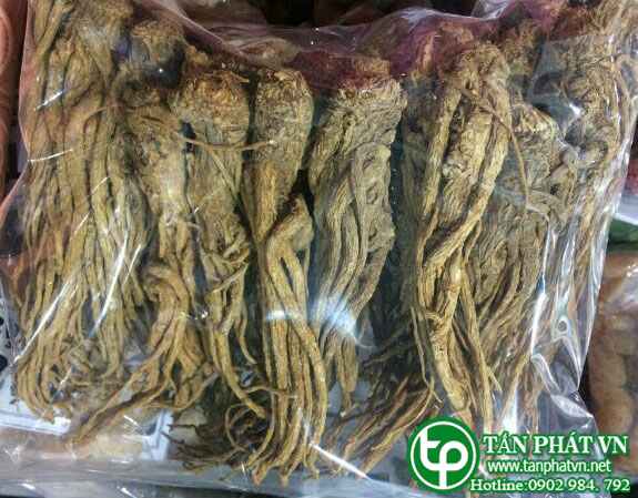 Ban Si Duong Quy Tai HCM O Dau?