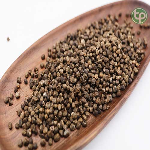 Địa Chỉ Mua Bán Hạt Chuối Tại TPHCM