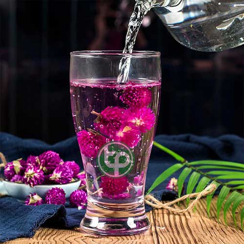Địa chỉ bán Hoa Bách Nhật hcm ở đâu