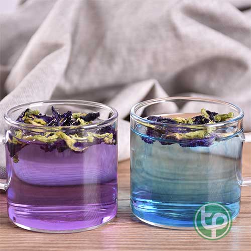 Địa Chỉ Mua Bán Hoa Đậu Biếc Tại HCM Ở Đâu? tphcm