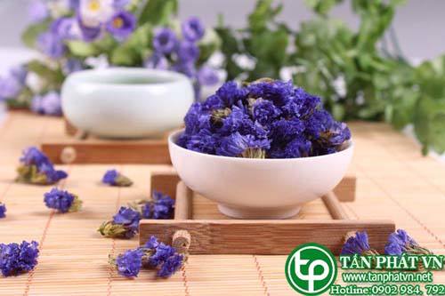 Bán Sỉ Hoa Luu Ly Tại HCM Ở Đâu?