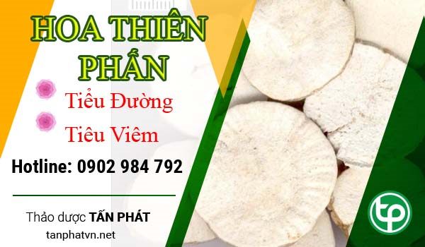 Ban Si Hoa Thien Phan Tai HCM O Dau?