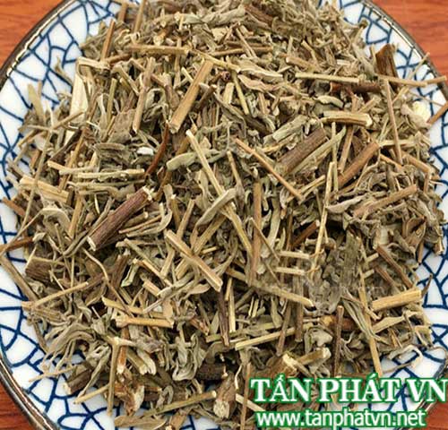 Ban Si Huong Nhu Tai HCM O Dau?