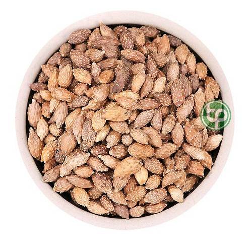 Địa Chỉ Mua Bán Ké Đầu Ngựa Tại TPHCM