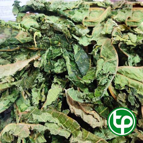 Công Ty Bán Lá Đu Đủ Khô Tại TP HCM?