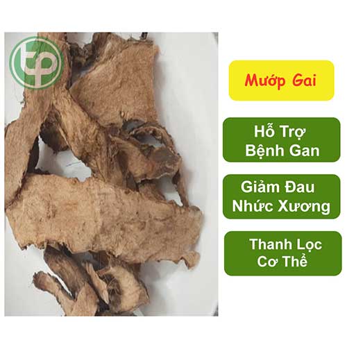 Địa chỉ bán Mướp Gai tại TP.HCM
