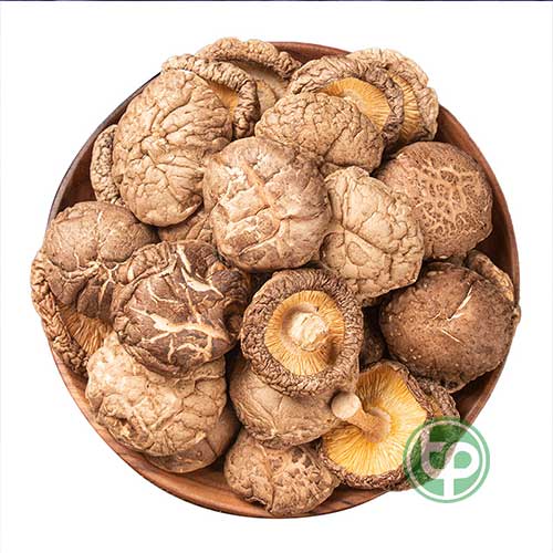 Địa Chỉ Mua Bán Nấm Đông Cô Tại HCM