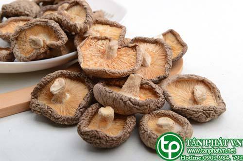 Bán Sỉ Nấm Đông Cô Tại HCM Ở Đâu?