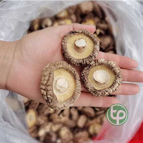Địa Chỉ Mua Bán Nấm Đông Cô Tại HCM Ở Đâu?