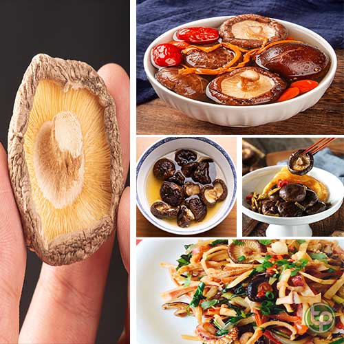 Địa chỉ mua bán Nấm Đông Cô tại hcm