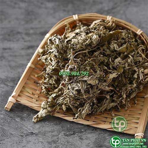 Địa Chỉ Mua Bán Ngải Cứu Khô Tại TPHCM