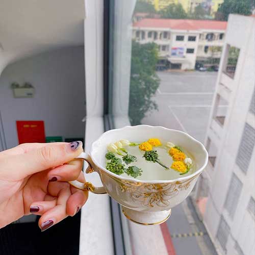 Bán Nụ Hoa Tam Thất Tại HCM