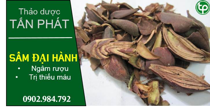 Bán Sỉ Sâm Đại Hành Tại HCM Ở Đâu?