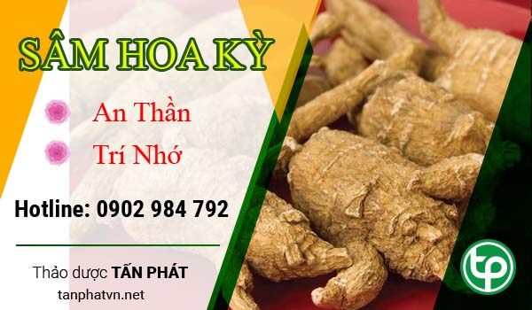 Địa Chỉ Mua Bán Sâm Hoa Kỳ Tại HCM Ở Đâu? tphcm