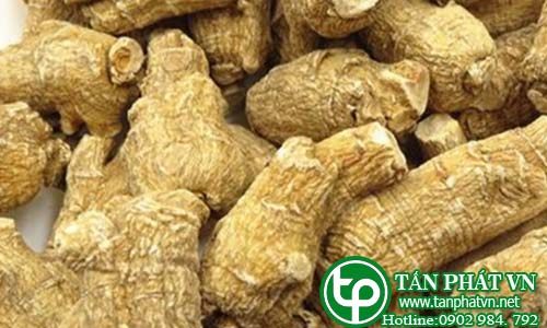 Địa Chỉ Mua Bán Sâm Hoa Kỳ Tại HCM Ở Đâu?