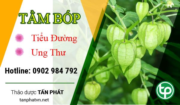 Bán Sỉ Tầm Bóp Tại TPHCM Ở Đâu?